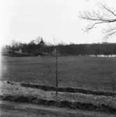 Tveta