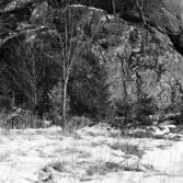 Runhäll i Österhaninge