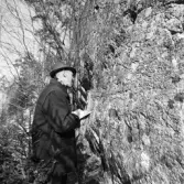 Runhäll i Österhaninge