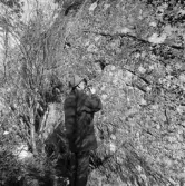 Runhäll i Österhaninge