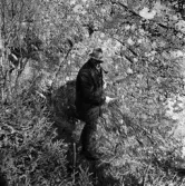 Runhäll i Österhaninge