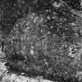 Runhäll i Österhaninge