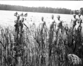 Badplats Militär Nakenhet