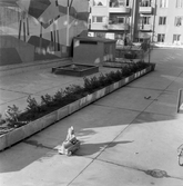 Barn i trampbil kör på gården på Trädgårdsgatan 24, 1960-tal