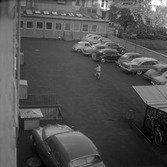 Cyklande barn mellan parkerade bilar på gården till Trädgårdsgatan 15, 1960-tal