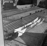 Tvätt hänger ute på tvättlina på gården Östra Bangatan 42, 1960-tal