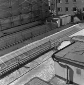 Staket och mattpiskställning på gården Drottninggatan 28, 30, 1960-tal