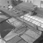 Bilar parkerade under mattpiskställning på gården Drottninggatan 26 , 1960-tal