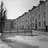 Mattpiskställningar på rad på gården Nygatan 61, 63, 65, 67, 1970-tal