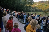 Hällristning Vitlycke. Tanum 1:1. L1968:7678.