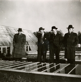Fyra män står tillsammans vid Stretereds drivbänkar/växthus, 1940-tal. Längst till höger ses skomakare Carl Krantz (1880 - 1956) som arbetade som skomakar-lärare vid Stretereds vårdhem. En av männen är trädgårdsmästare Lundberg.
