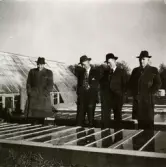 Fyra män står tillsammans vid Stretereds drivbänkar/växthus, 1940-tal. Längst till höger ses skomakare Carl Krantz (1880 - 1956) som arbetade som skomakar-lärare vid Stretereds vårdhem. En av männen är trädgårdsmästare Lundberg.