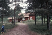 Barn leker vid stuga i Skagerns stugby, 1968
