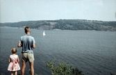 Utsikt från sommarkolonin Anevik, 1960-tal