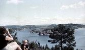 Utsikt från sommarkolonin Anevik, 1960-tal
