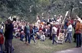 Folkmassa i Stadsparken, 1970-tal