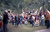 Folkmassa i Stadsparken, 1970-tal