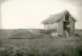 Fläckebo sn, Gussjö.
Två personer i ängslada, 1925.