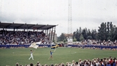 Flaggbäare på gymnastikspelen på Eyravallen, 1983