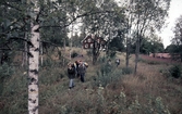 Vandring i Suttarboda, 1970-tal