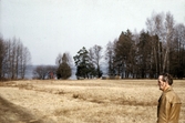 Lekpark i Skagern, 1960-1965