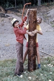 Pojkar lyfter trädstubbe och står redo med såg, 1970-tal