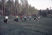 Hoppträning på Svenska Brukshundsklubben, 1970-tal
