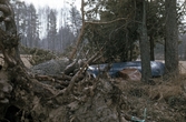 Rotvälta i skog, 1970-tal