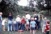 Ungdomsledare och barn hjälps åt att resa en midsommarstång, 1970-tal