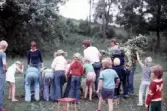 Ungdomsledare och barn hjälps åt att resa en midsommarstång, 1970-tal