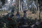 Elever från Lundbyskolan möter ett får i skogen, 1970-tal