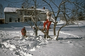 Ungdomar leker i snön, 1970-tal