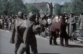 Kamel och häst på barnens dag, 1950-tal