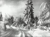 Vinterstudie i Bocksboda i Kilsbergen, 1940-tal