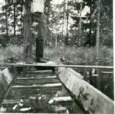 Gunnilbo sn, Naddebo.
Fisketur. Rudor i nätet. 1937.