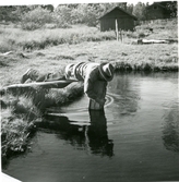 Gunnilbo sn, Naddebo.
Anders Andersson vid fiskdammarna. 1937.