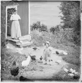 Barn går vid hönor.