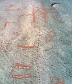 Hällristning Vitlycke. Tanum 1:1. L1968:7678.