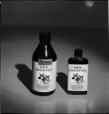 TAGNINGAR AV SPORTARTIKLAR FÖR KATALOG

DOG SCHAMPOO / HUND-SCHAMPO