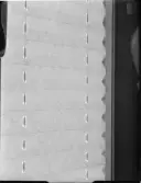 DETALJBILDER PÅ FÖNSTERJALUSIER, KVÄLLSBILDER UTIFRÅN TROPICA