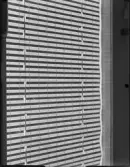 DETALJBILDER PÅ FÖNSTERJALUSIER, KVÄLLSBILDER UTIFRÅN TROPICA