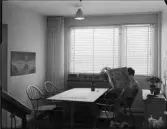 DETALJBILDER PÅ FÖNSTERJALUSIER, KVÄLLSBILDER UTIFRÅN TROPICA