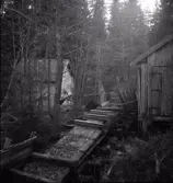 Vattenkvarnen i Hansehult vid Kvarnkärrets utlopp, sedd från vägen.