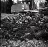 Arkeologisk undersökning vid Kohagsområdet, Näs 1:1 B, A  7 från väster.