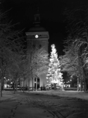 Varbergs kyrka i vinterskrud med tänd julgran kvällstid.