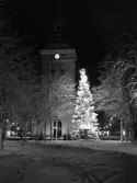 Varbergs kyrka i vinterskrud med tänd julgran kvällstid.