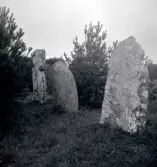 Resta stenar i Övetorp.