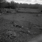 Gammal boplats med odlingsröse, åkermark och gärdsgård.