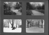 Oscar Janssons album 1899-1919