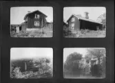 Oscar Janssons album 1899-1919